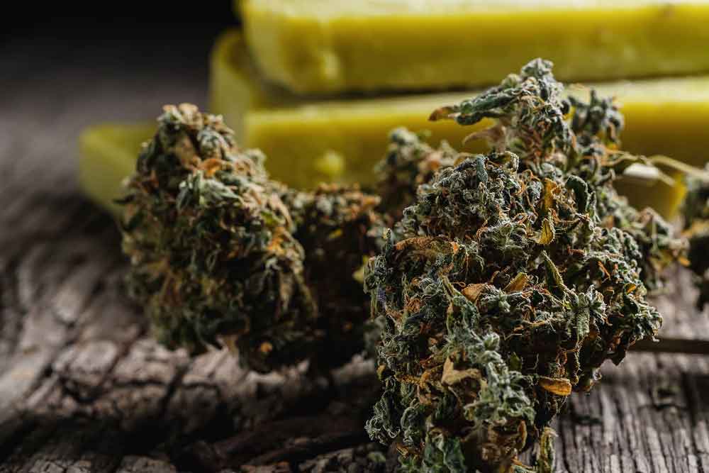 Most Commonly Used Marijuana Seeds