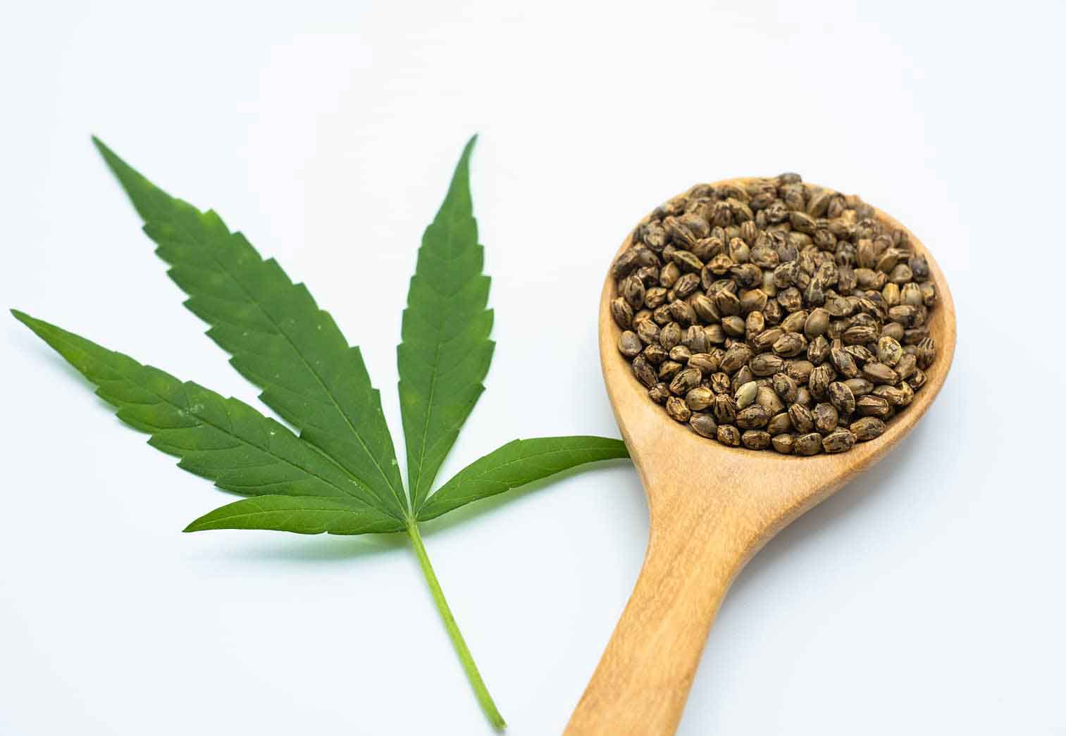Safe to Buy Marijuana Seeds in Canada