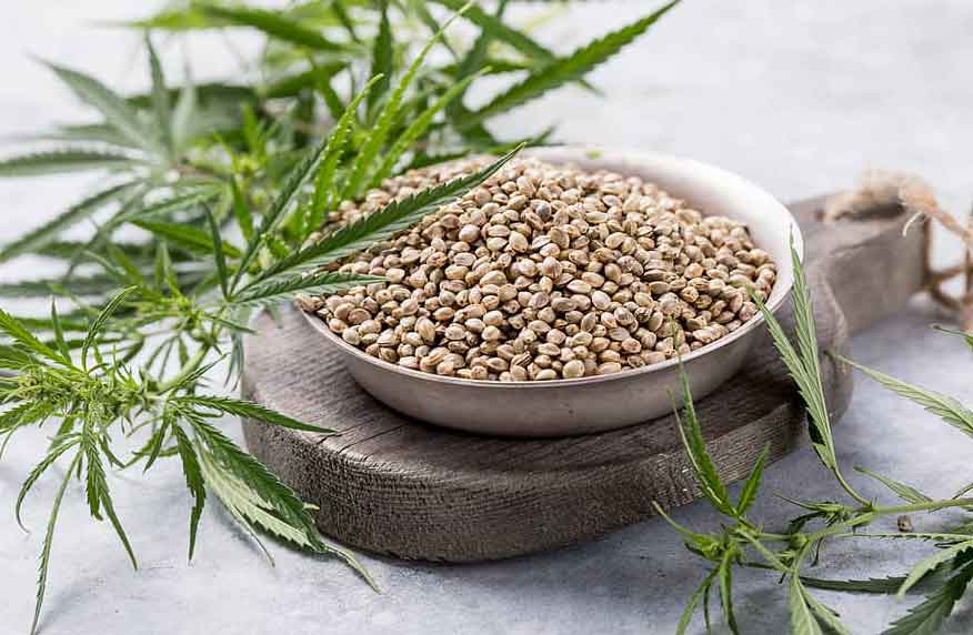 Best Quality Marijuana Seeds