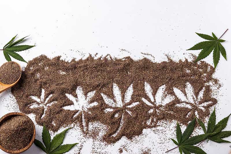 Marijuana Seeds for Sale in Saskatoon