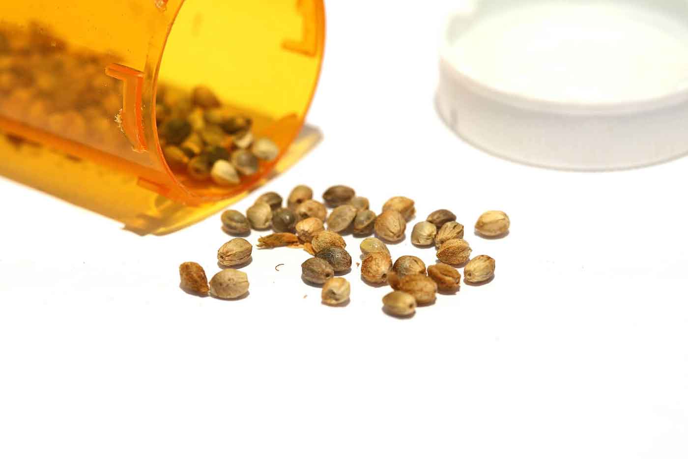 Marijuana Seeds in Kamloops