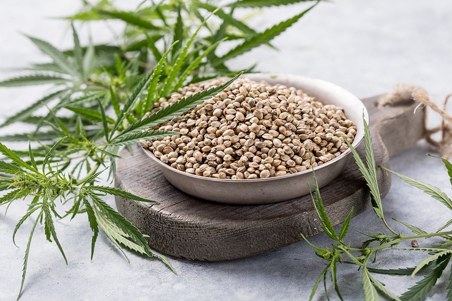 Affordable Marijuana Seeds For Sale In Saskatoon, Crop King Seeds