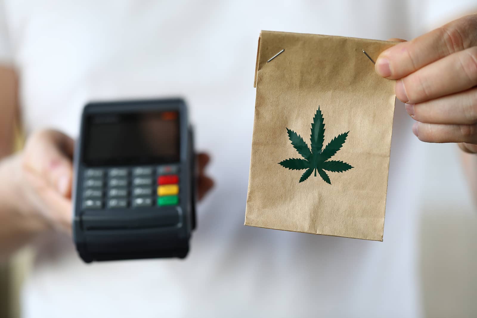 Buy High Quality Marijuana Seeds for Nashville