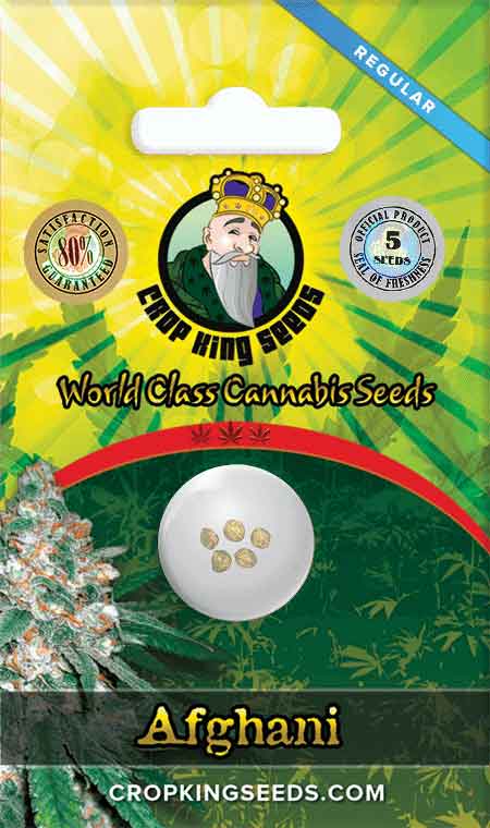 Afghani Regular Marijuana Seeds 1, Crop King Seeds