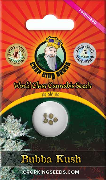 Bubba Kush Feminized Marijuana Seeds, Crop King Seeds