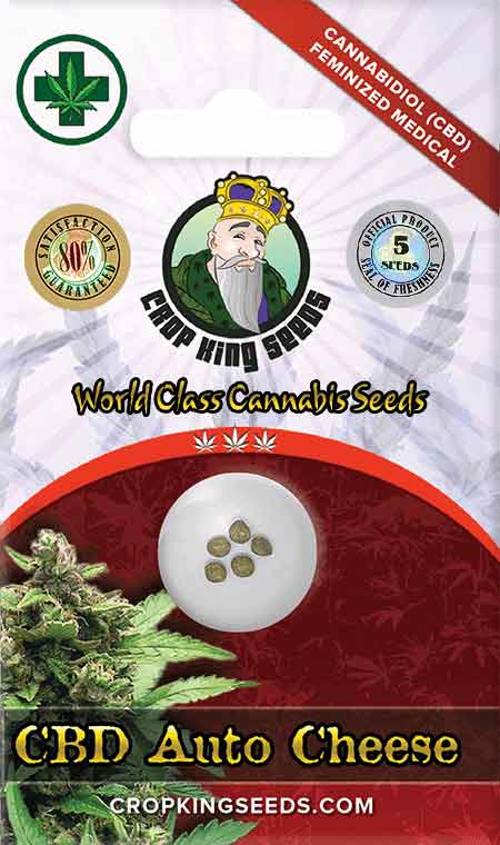 CB Autoflower Cheese Marijuana Seeds, Crop King Seeds