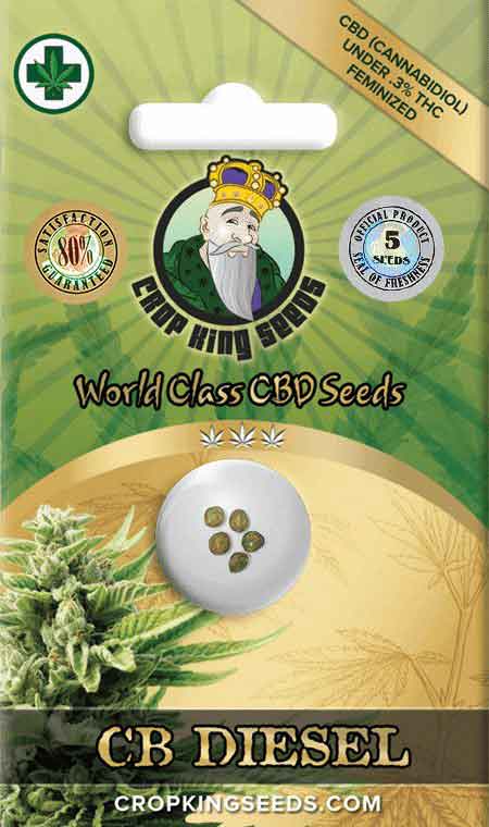 CB Diesel CBD Feminized Marijuana Seeds 1, Crop King Seeds
