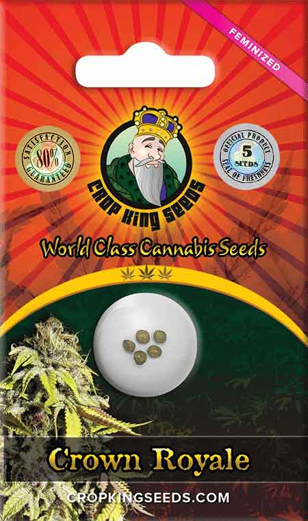Crown Royale Feminized Marijuana Seeds 1, Crop King Seeds