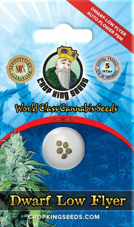 Dwarf Low Flyer Autoflower Marijuana Seeds