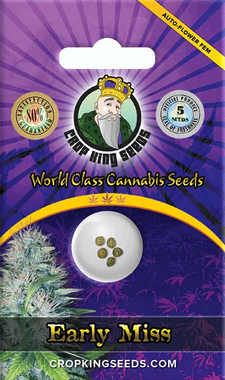 Early Miss Strain Autoflowering Marijuana Seeds, Crop King Seeds