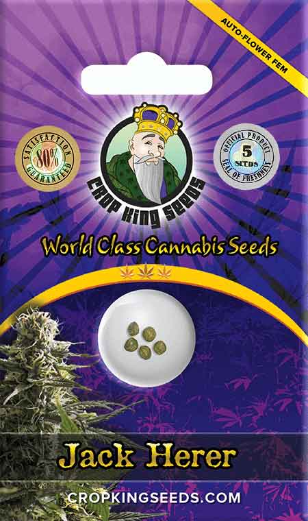 Jack Herer Autoflower Marijuana Seeds, Crop King Seeds