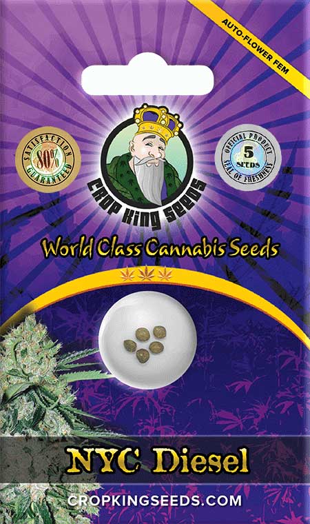 NYC Diesel Strain Autoflowering Marijuana Seeds, Crop King Seeds