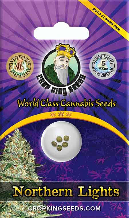 Northern Lights Strain Autoflowering Marijuana Seeds, Crop King Seeds