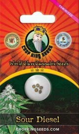 Sour Diesel Strain Feminized Marijuana Seeds