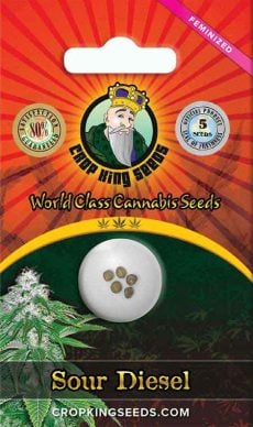 Sour Diesel Strain Feminized Marijuana Seeds