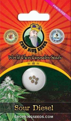 Sour Diesel Strain Feminized Marijuana Seeds