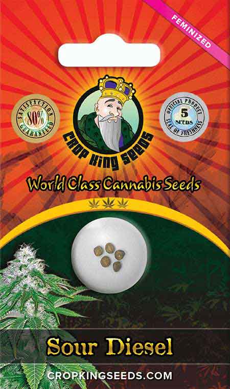 Sour Diesel Feminized Marijuana Seeds 1, Crop King Seeds