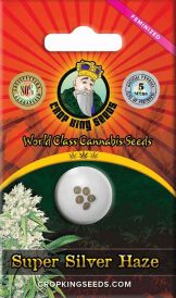 Super Silver Haze Feminized Marijuana Seeds