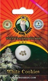 White Cookies Strain Feminized Marijuana Seeds