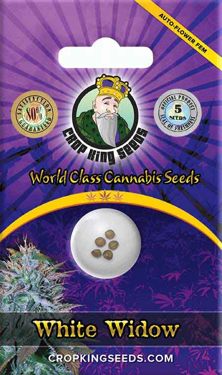 White Widow Autoflower Marijuana Seeds 1, Crop King Seeds