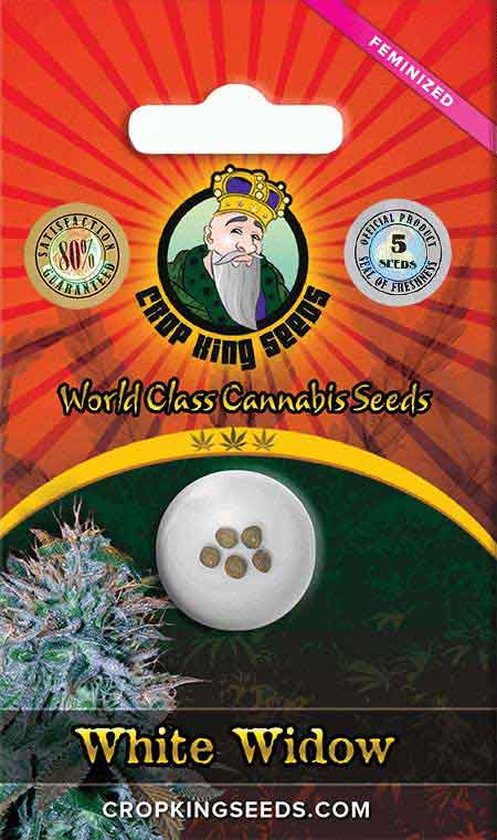 White Widow Feminized Marijuana Seeds 1, Crop King Seeds