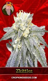 Zkittlez Strain Feminized Marijuana Seeds
