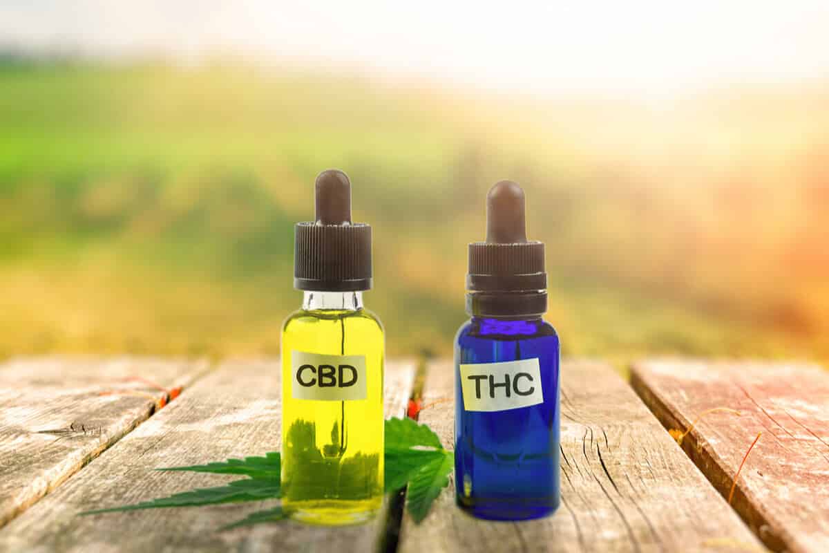 CBD vs THC: Ultimate Comparison