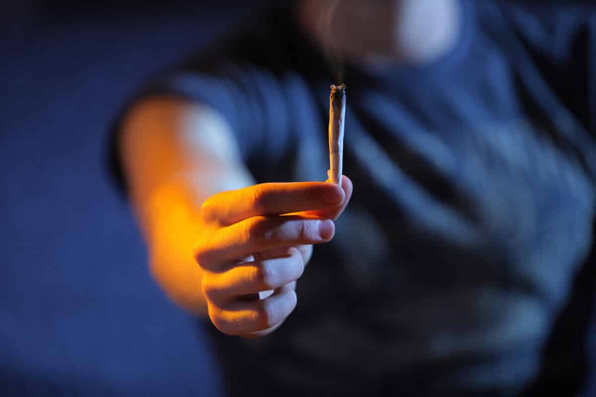 Is Weed Bad For You: What Studies Show