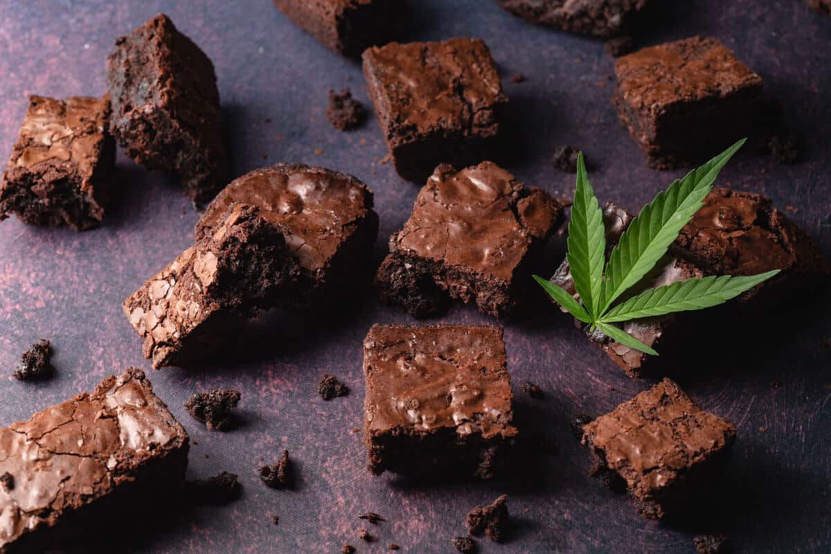 Pot Brownies: Baking Guide for Cannabiseurs