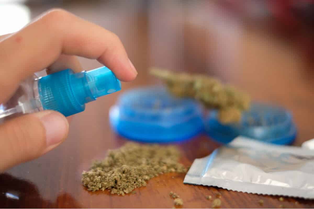 Understanding Synthetic Weed and Its Uses