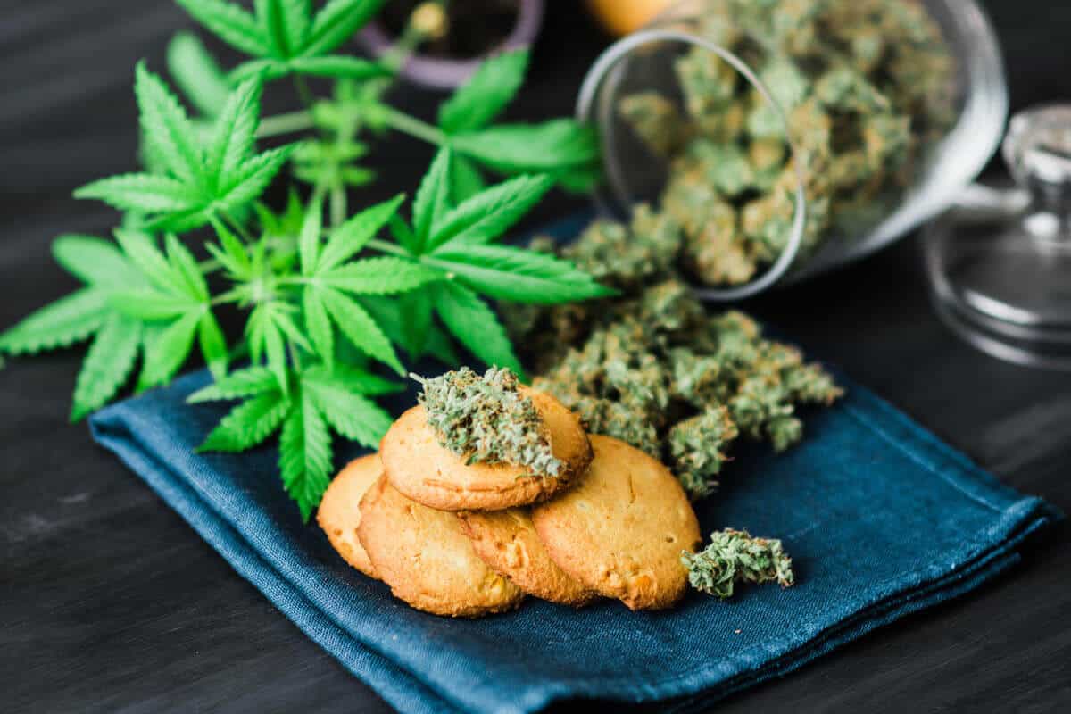 What are the Best Cannabis Edibles to Try