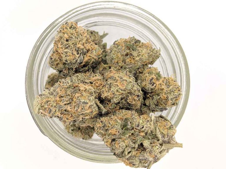 Ice Cream Cake Strain What Makes it a Famous Strain?