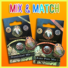 Mixnmatch 232x312 1, Crop King Seeds
