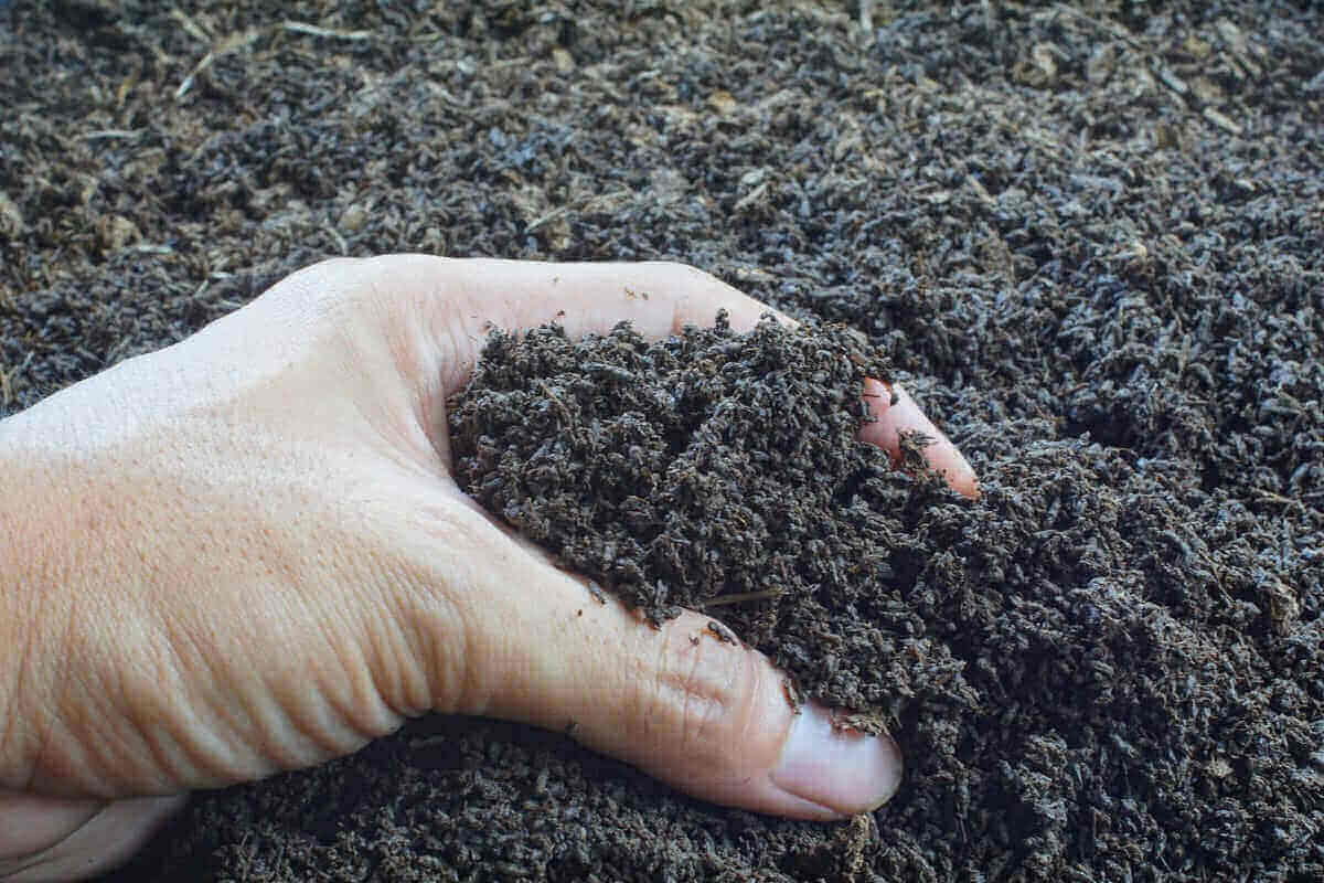 Earthworm Castings How are They Used