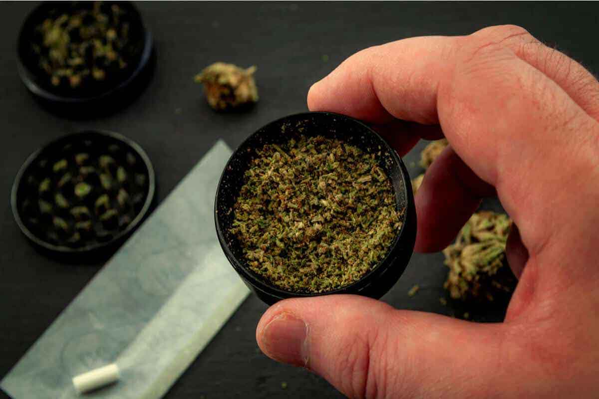 How to Grind Weed Like an Expert