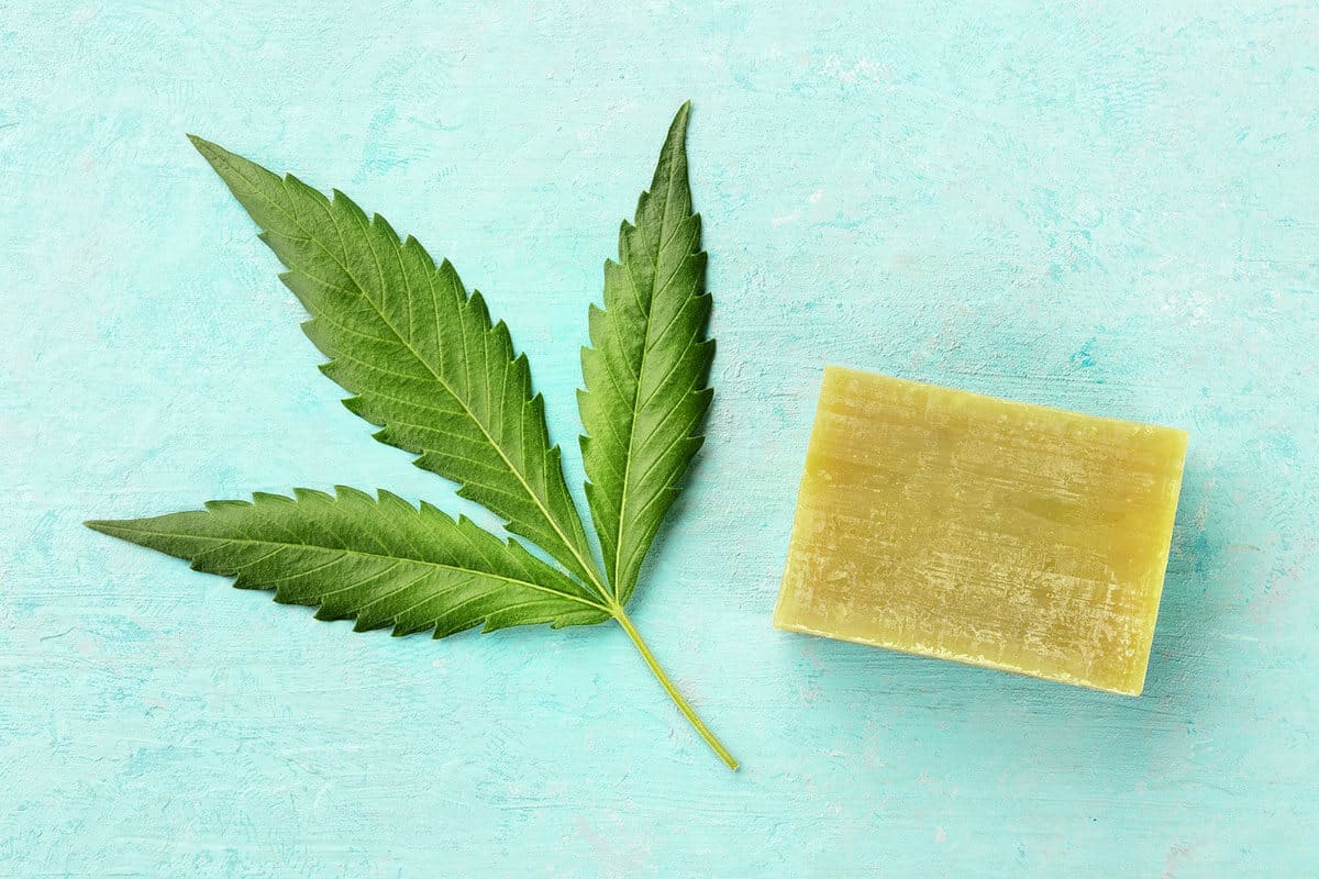 How-to-Make-Hemp-Soap (1)