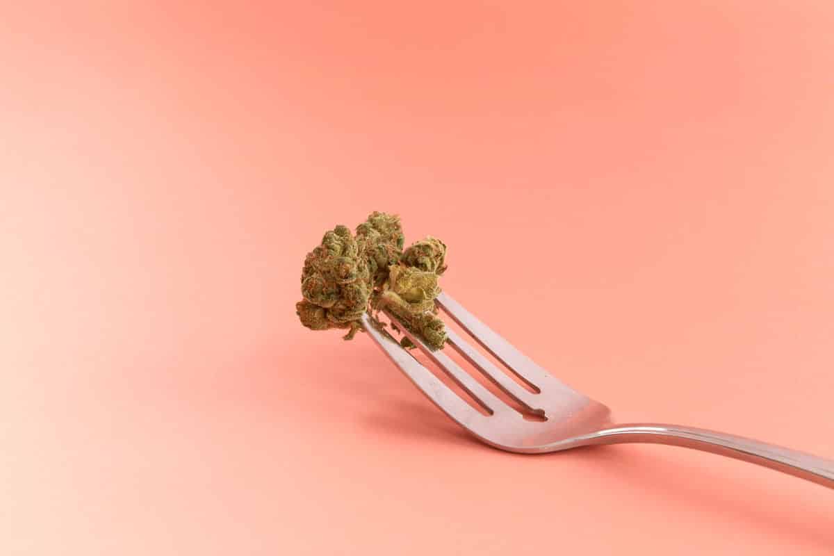 What Happens if You Eat Weed?
