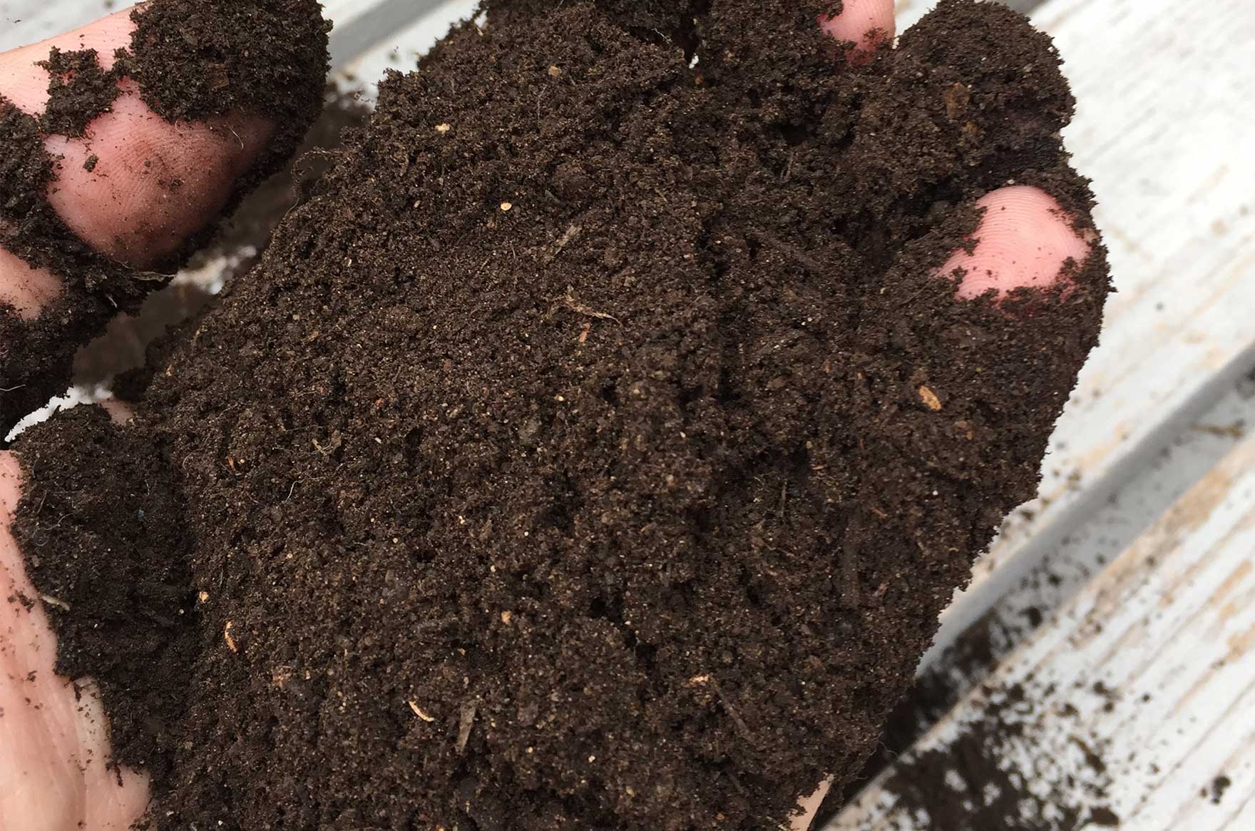 Earthworm Castings: How are They Used?