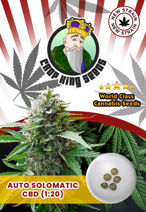 Auto Solomatic CBD