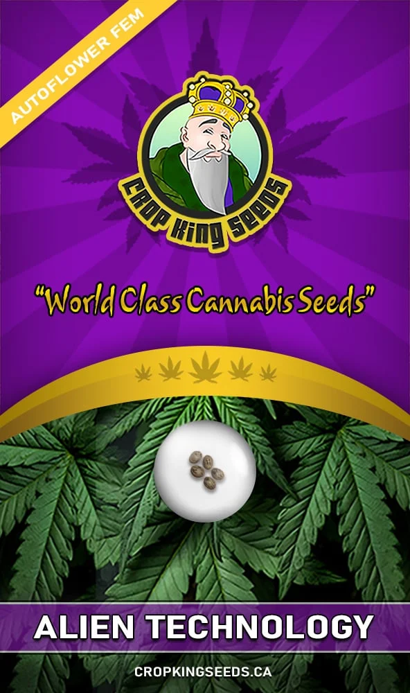 Alien Technology Strain Autoflowering