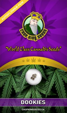 Dookies Strain Autoflowering