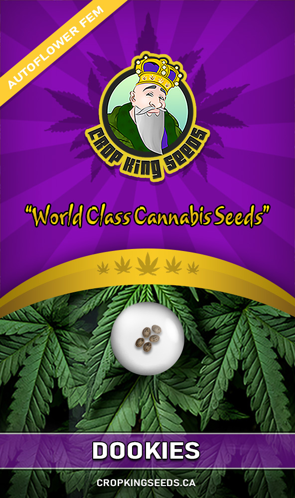 Dookies Strain Autoflowering