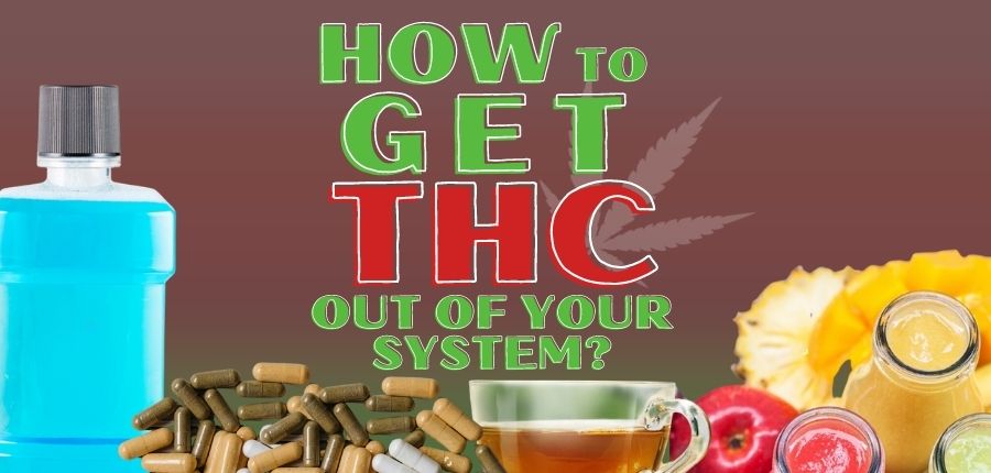 how to get thc out of your system