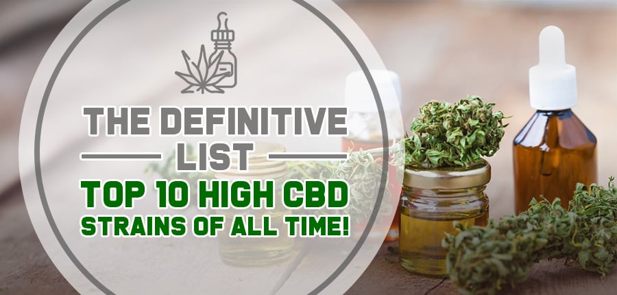 The Definitive List Top 10 High CBD Strains Of All Time, Crop King Seeds