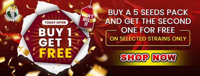 Homepage Banner For Desktop 4, Crop King Seeds