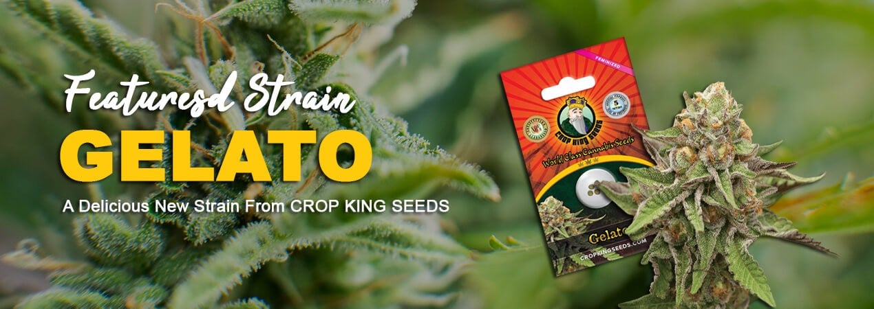 Cks Slider 2, Crop King Seeds