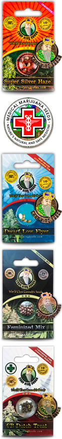 Redwood Kush Fast Version Marijuana Seeds