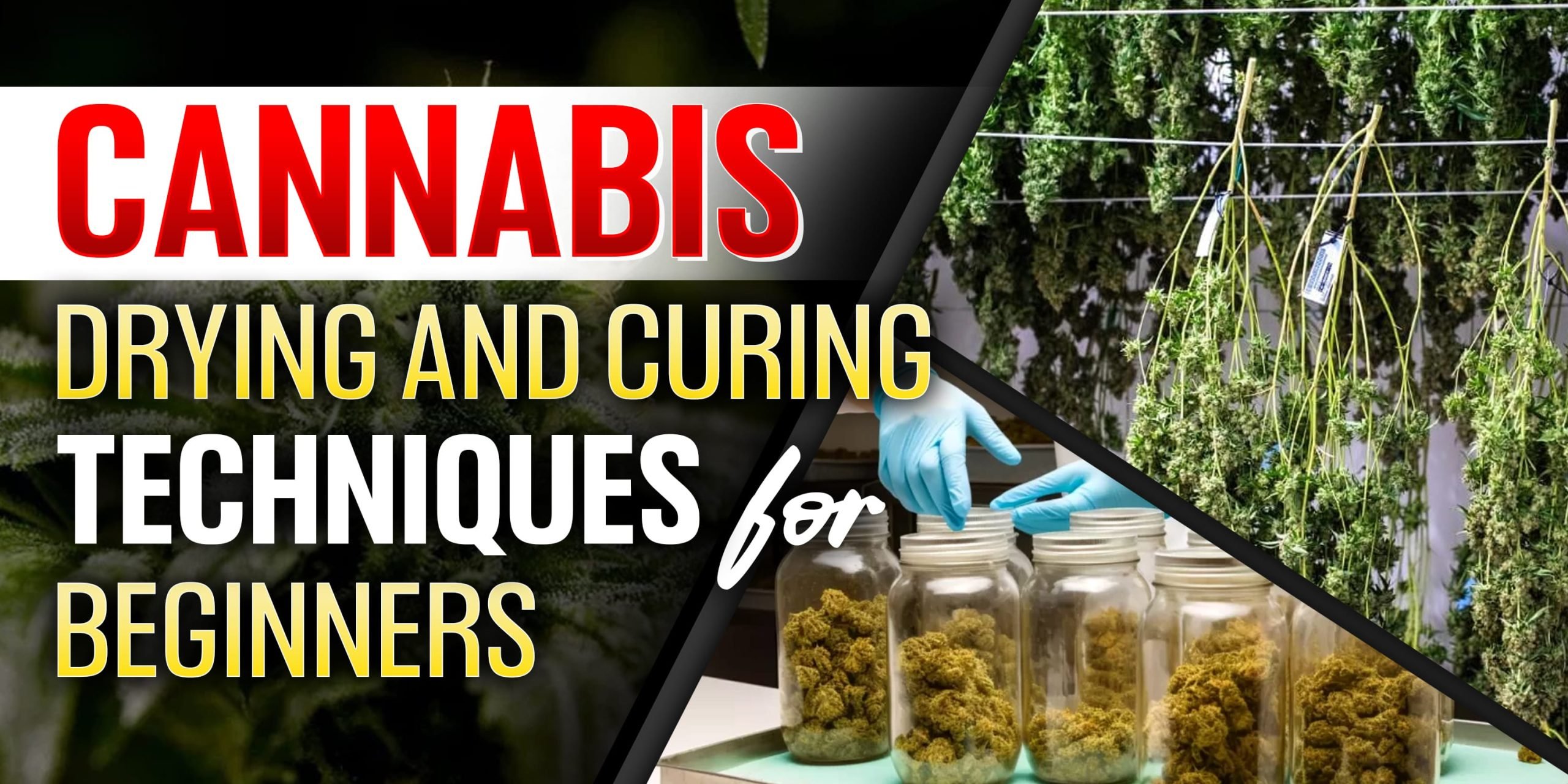 Drying and Curing for Beginners