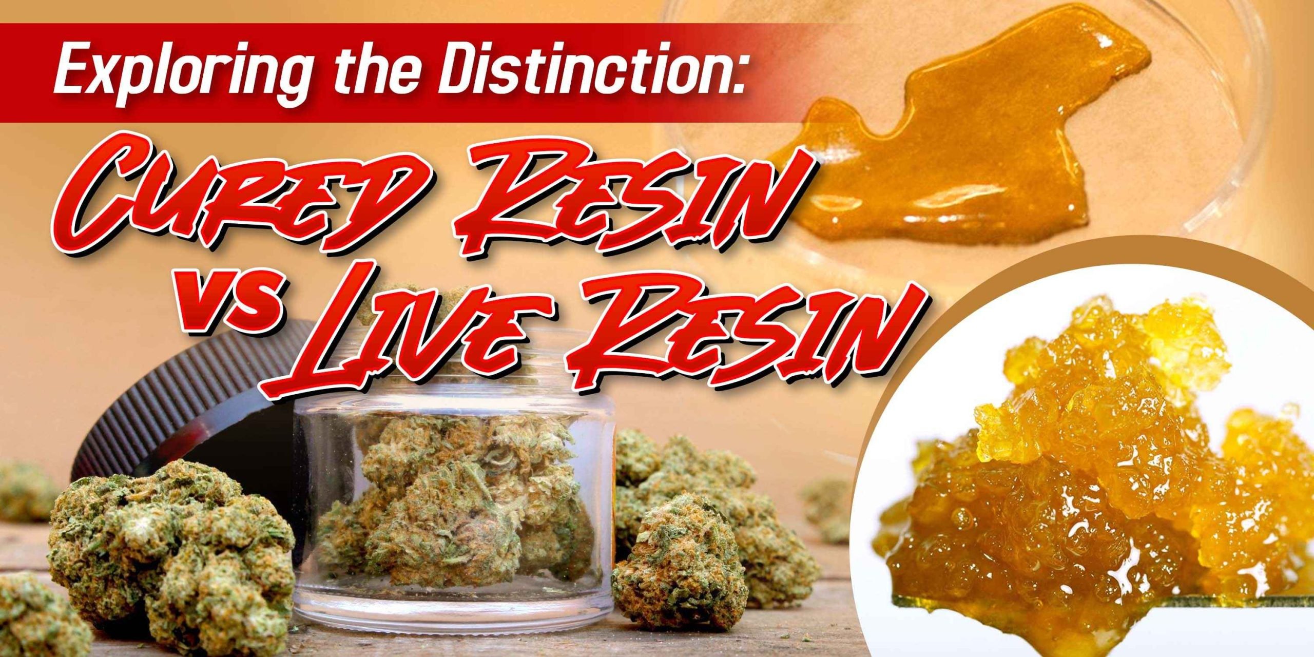 Cured Resin vs. Live Resin