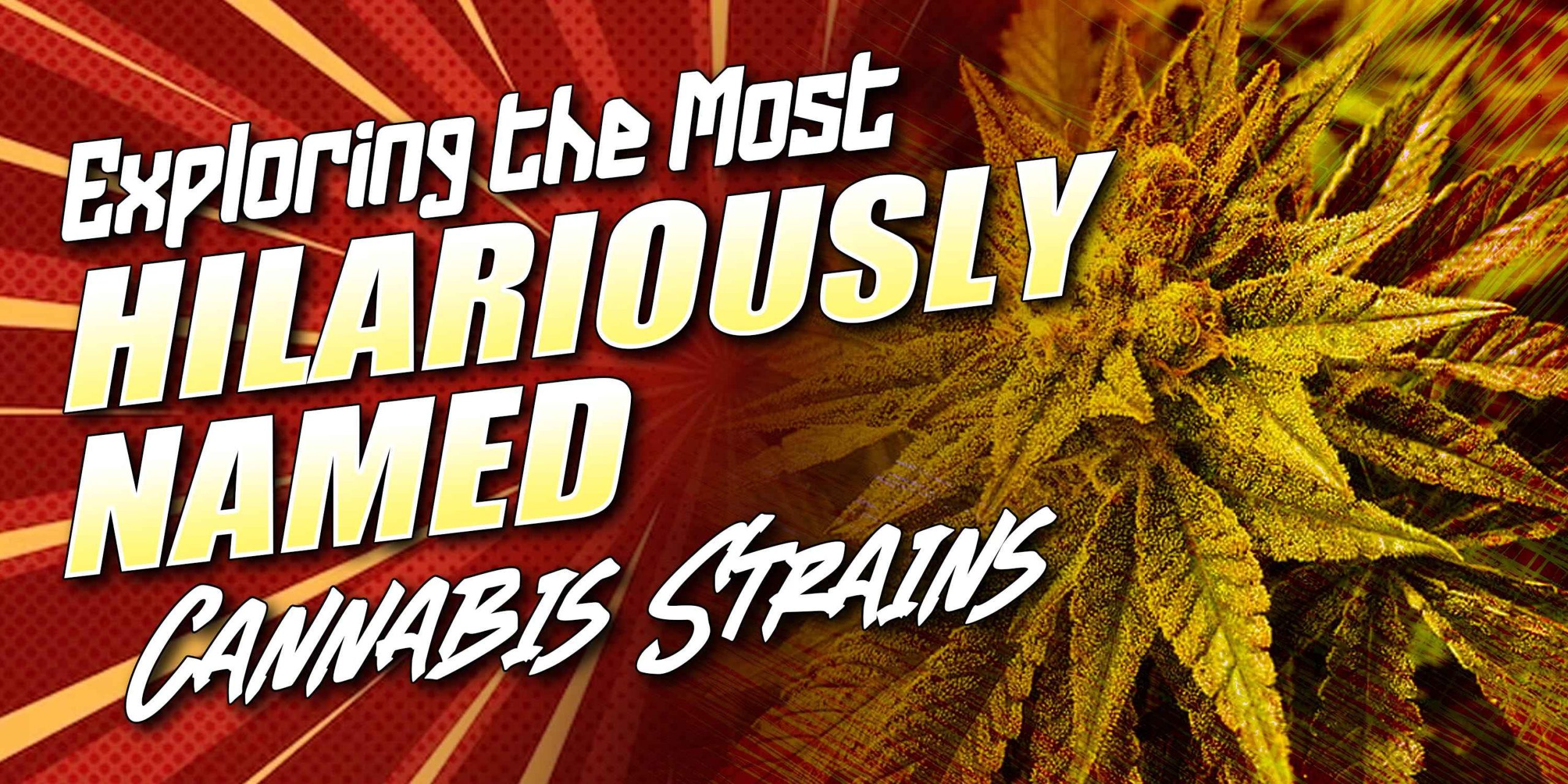 funny weed names